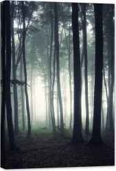 Tablou luminos in intuneric GlowforHome Fotografia unei paduri dimineata 90 cm x 60 cm 