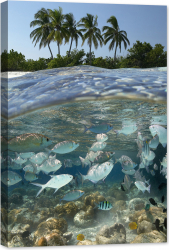 Tablou luminos in intuneric GlowforHome Laguna tropicala din Maldive 60 cm x 40 cm 