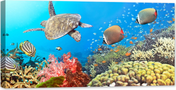 Tablou luminos in intuneric GlowforHome Marea tropicala lumea subacvatica ocean 80 cm x 40 cm 