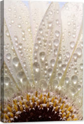 Tablou luminos in intuneric GlowforHome Margareta de aproape 60 cm x 40 cm 
