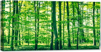Tablou luminos in intuneric GlowforHome Padurea de fag inverzita 80 cm x 40 cm 