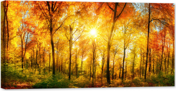 Tablou luminos in intuneric GlowforHome Padurea Portocalie Toamna 80 cm x 40 cm 