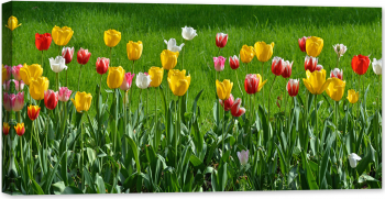 Tablou luminos in intuneric GlowforHome Panorama Florala cu lalele 120 cm x 60 cm 