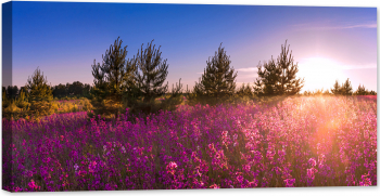 Tablou luminos in intuneric GlowforHome Peisaj de vara cu lunca inflorita 80 cm x 40 cm 