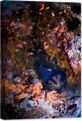 Tablou luminos in intuneric GlowforHome Pestera Coralilor Colorati 90 cm x 60 cm 