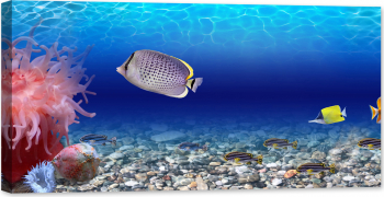 Tablou luminos in intuneric GlowforHome Pesti exotici lumea subacvatica ocean 120 cm x 60 cm 