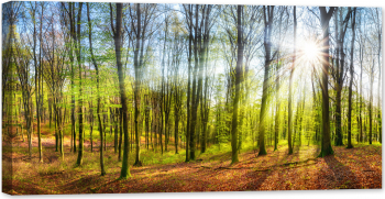 Tablou luminos in intuneric GlowforHome Soarele stralucind intr-o padure primavara 120 cm x 60 cm 
