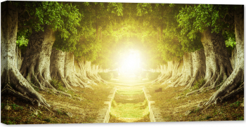 Tablou luminos in intuneric GlowforHome Tunelul copacilor iubirii atmosfera misterioasa de poveste cu soare luminos 80 cm x 40 cm 