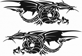 Sticker auto model 41 - set 2 buc 