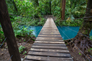 Fototapet de perete autoadeziv si lavabil Podet in padure Costa Rica 220 x 135 cm 