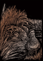 Set gravura folie cupru Rate A4