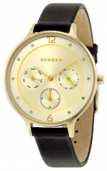Ceas de dama Skagen Anita SKW2393 