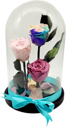 Cupola XL cu 3 trandafiri criogenati multicolor 28/18cm Crioflora 