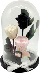 Cupola XL de sticla cu 3 trandafiri criogenati negru-roz 28/18 cm 