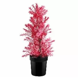 Planta decorativa artificiala roz ghiveci cu flori 60 cm MCT 251A MCTON 