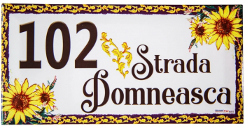 008 Model Raza de soare CeramicPrint - 10x30 