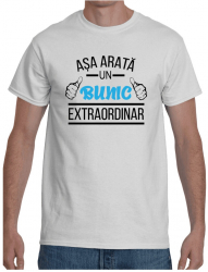 Tricou personalizat Asa arata un bunic extraordinar Alb marime 3XL 