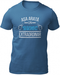 Tricou personalizat Asa arata un bunic extraordinar albastru denim marime 2XL 