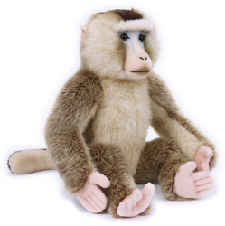 Venturelli - national geographic - animal de plus macac porc 25cm 