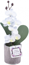 Orhidee artificiala in Ghiveci Ceramic pentru Deco Casa PAMI F1020-67 Alb 8x8x30cm 