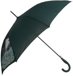 Umbrela lunga automata color changing PAMI U-S621-350 60 cm 8 spite Verde 