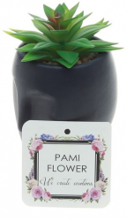 Plante suculente artificiale PAMI in ghiveci Black Lady F1021-32 6x6x13cm Model E 