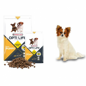Hrana uscata catelusi talie mica Opti Life Mini Puppy Versele Laga 7 5 kg 
