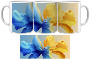 Cana cu imagine si Design Artistic - CCD3F1050 