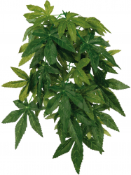 Plante Artificiale 20x30 cm 76236 