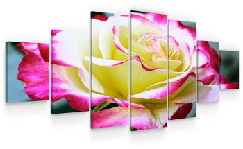 Set Tablou DualView Startonight Trandafir special 7 piese luminos in intuneric 100 x 240 cm 
