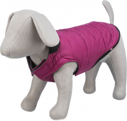 Hainuta Arlay S 33cm Visiniu 680335 