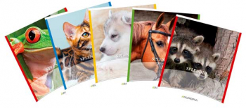 Caiet A5 48 File - 80g/mp Liniat Stanga Coperta Imagini Cu Animale Aurora Splendid - Dictando 