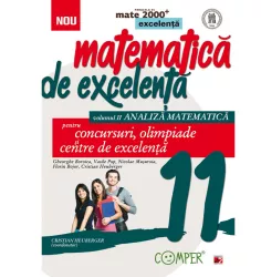 Mate excelenta pentru clasa a xi-a. analiza matematica - cristian heuberger coord. florin bojor nicolae musuroia gheorghe boroica vasile pop