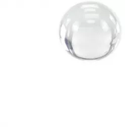 Bila pentru grup infuzor saeco-gagia-philips 