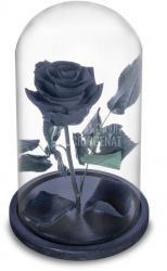 Trandafir Criogenat negru O6 5cm in cupola sticla 10x20cm 