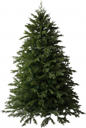 Brad Artificial Majestic cu ace 2D+3D 500 leduri suport metalic 210 cm 