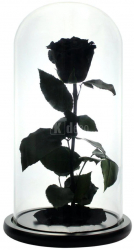Trandafir Criogenat XL negru O6 5cm cupola sticla 12x25cm 