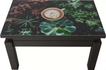 MASA TRANSFORMER BUTTERFLY PRINT 7 WENGE 