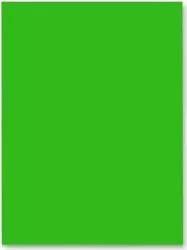 Hartie Cartonata FAVINI Verde 70x100 cm 10 Coli/Top 220 g/mp Carton Colorat Carton Colorat 70x100 Hartie Cartonata Colorata 