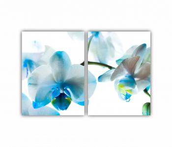 Set 2 Tablouri Multicanvas Art painting 1 0165 180X120 cm 