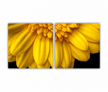 Set 2 Tablouri Multicanvas Camp de floarea soarelui 3 0073 160X80 cm 