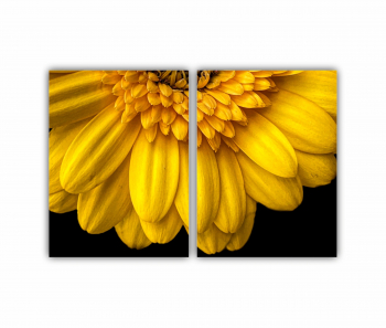 Set 2 Tablouri Multicanvas Camp de floarea soarelui 3 0073 180X120 cm 