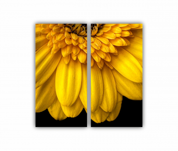 Set 2 Tablouri Multicanvas Camp de floarea soarelui 3 0073 80X80 cm 