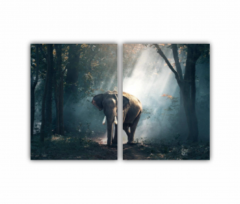 Set 2 Tablouri Multicanvas Elefant 0395 180X120 cm 