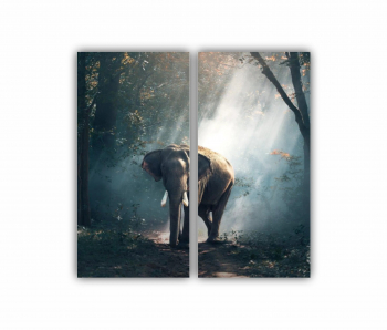 Set 2 Tablouri Multicanvas Elefant 0395 80X80 cm 