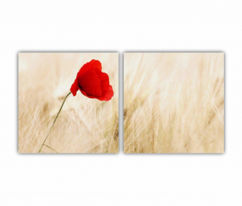 Set 2 Tablouri Multicanvas Floare rosie 0266 160X80 cm