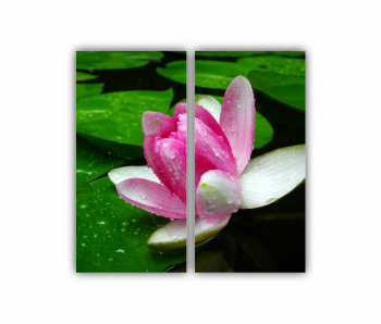 Set 2 Tablouri Multicanvas Floarea de lotus 0270 80X80 cm 