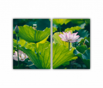 Set 2 Tablouri Multicanvas Floarea de lotus 0273 120X80 cm 