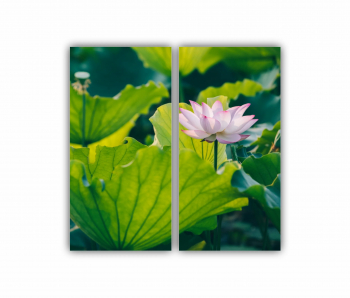 Set 2 Tablouri Multicanvas Floarea de lotus 0273 80X80 cm 