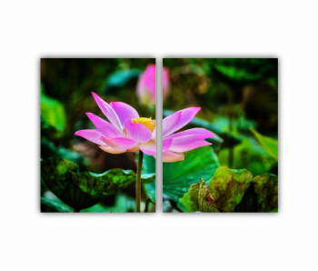 Set 2 Tablouri Multicanvas Floarea de lotus 0277 180X120 cm 